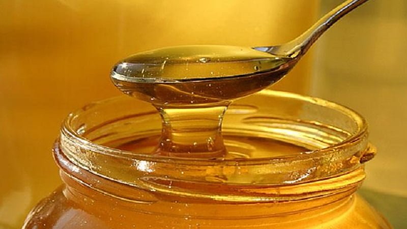 Cambia l’etichettatura del miele