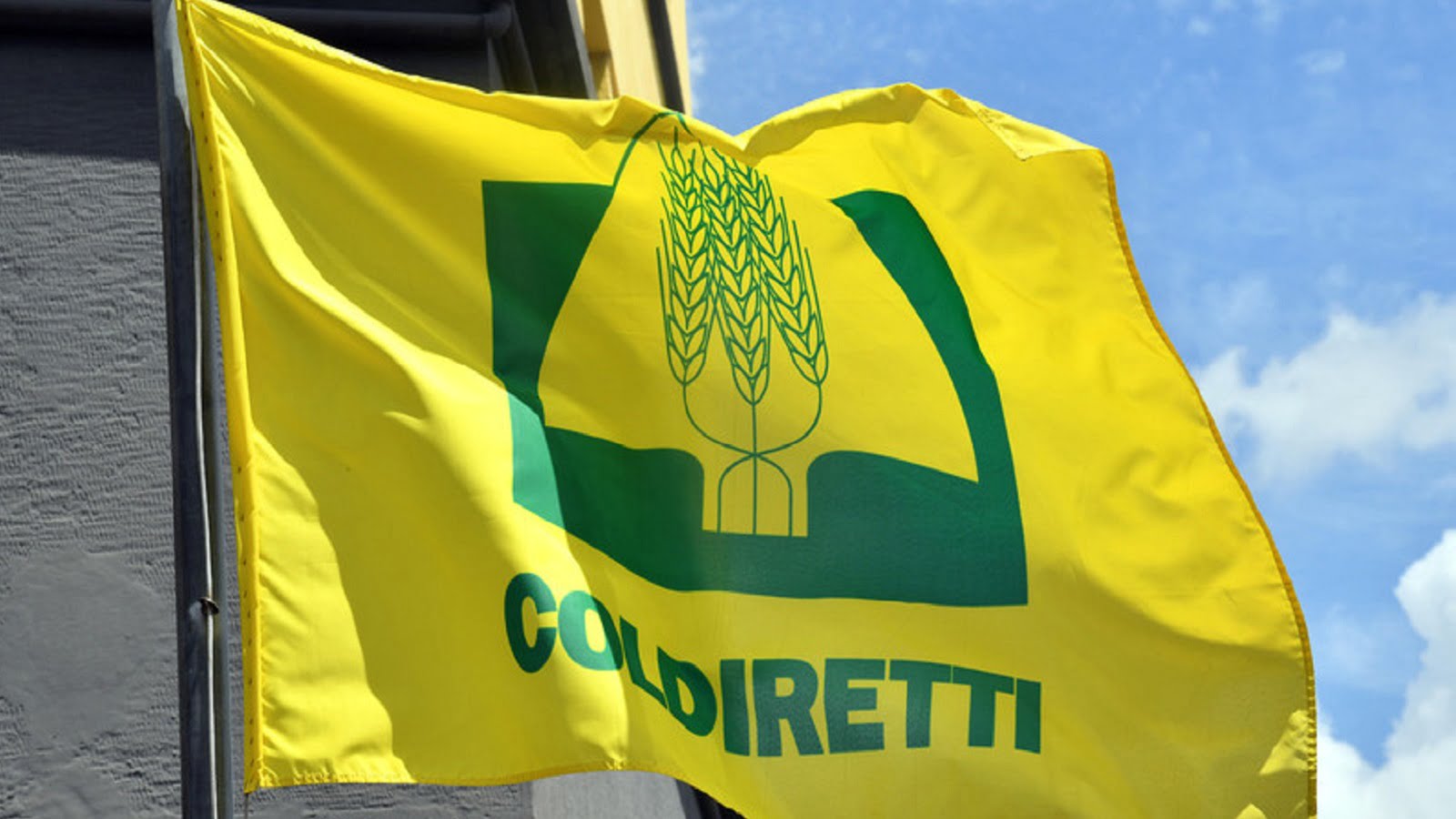 Coldiretti: “Bene proroga decreti etichetta, ora battaglia in Europa per origine obbligatoria su tutti i cibi”