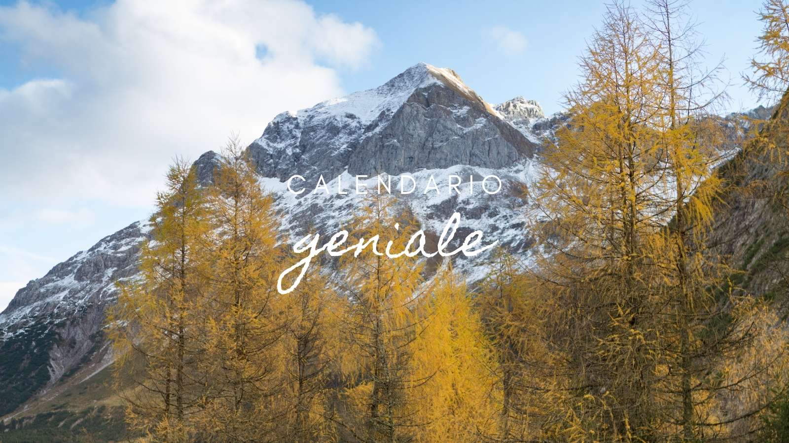 Calendario: venerdì 16 gennaio 2026