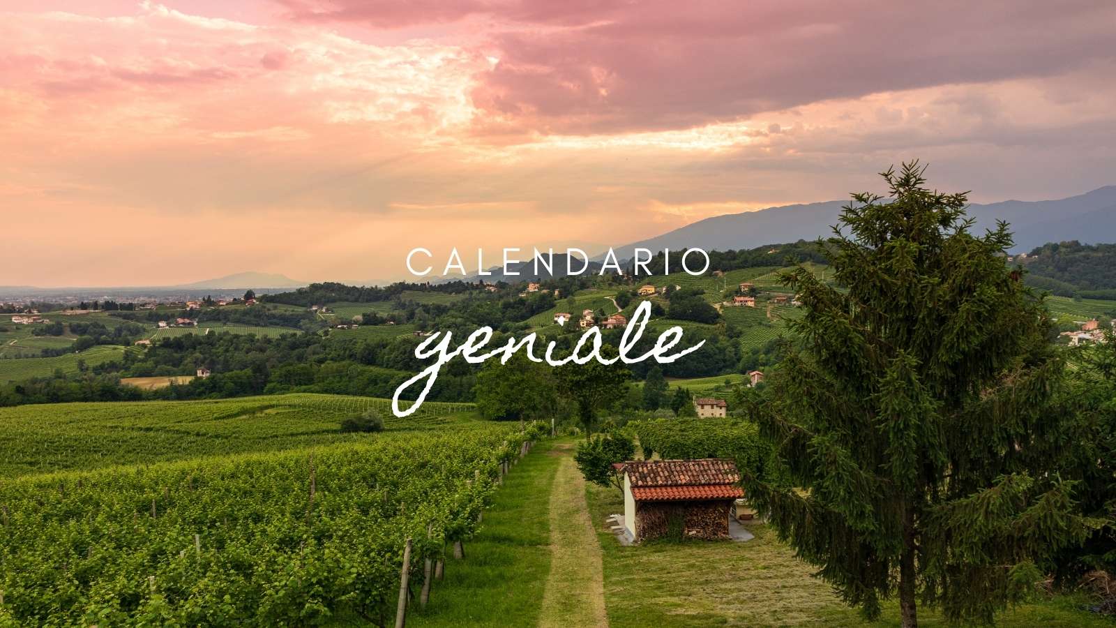 Calendario: domenica 4 gennaio 2026