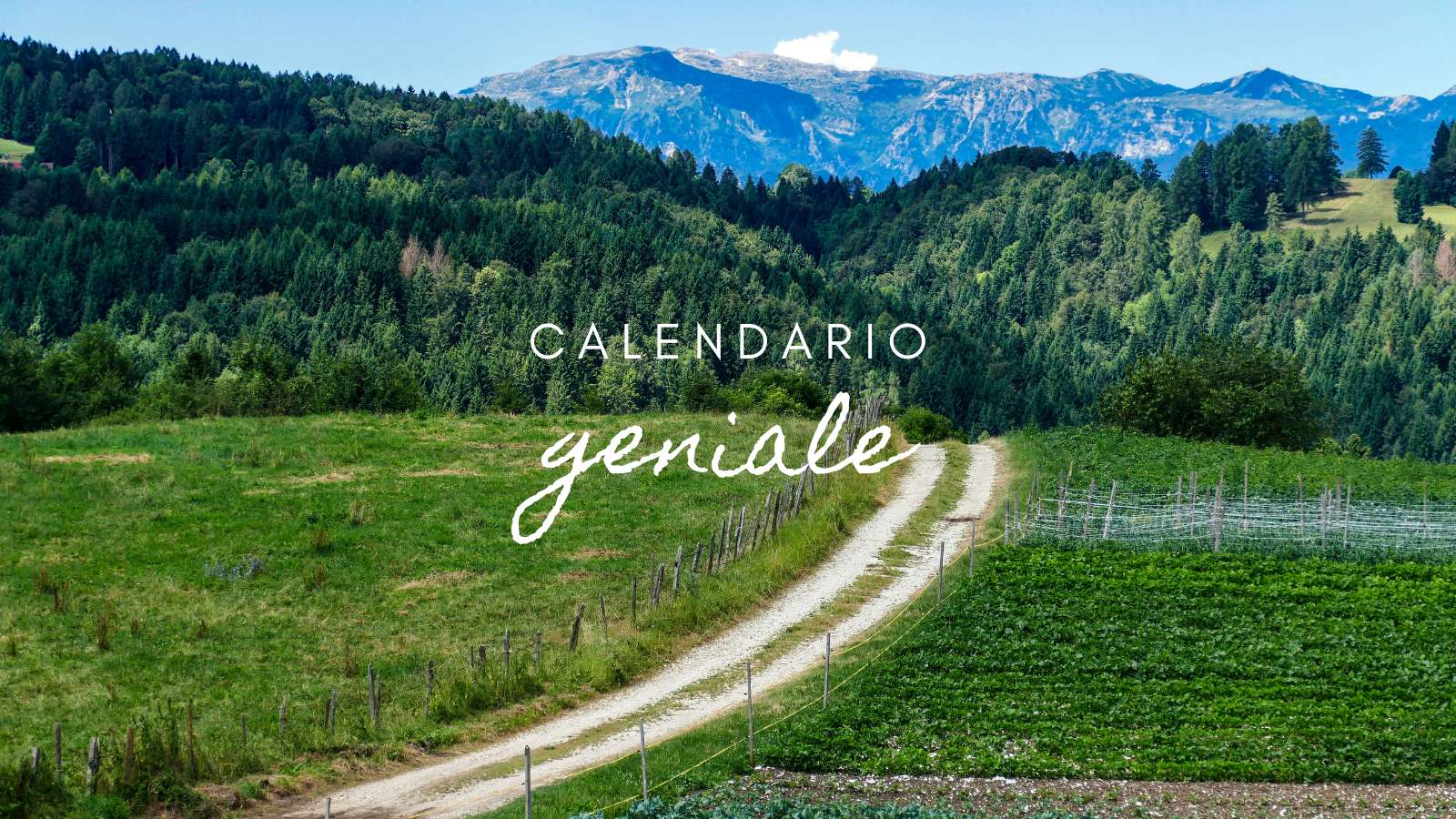 Calendario: lunedì 19 gennaio 2026