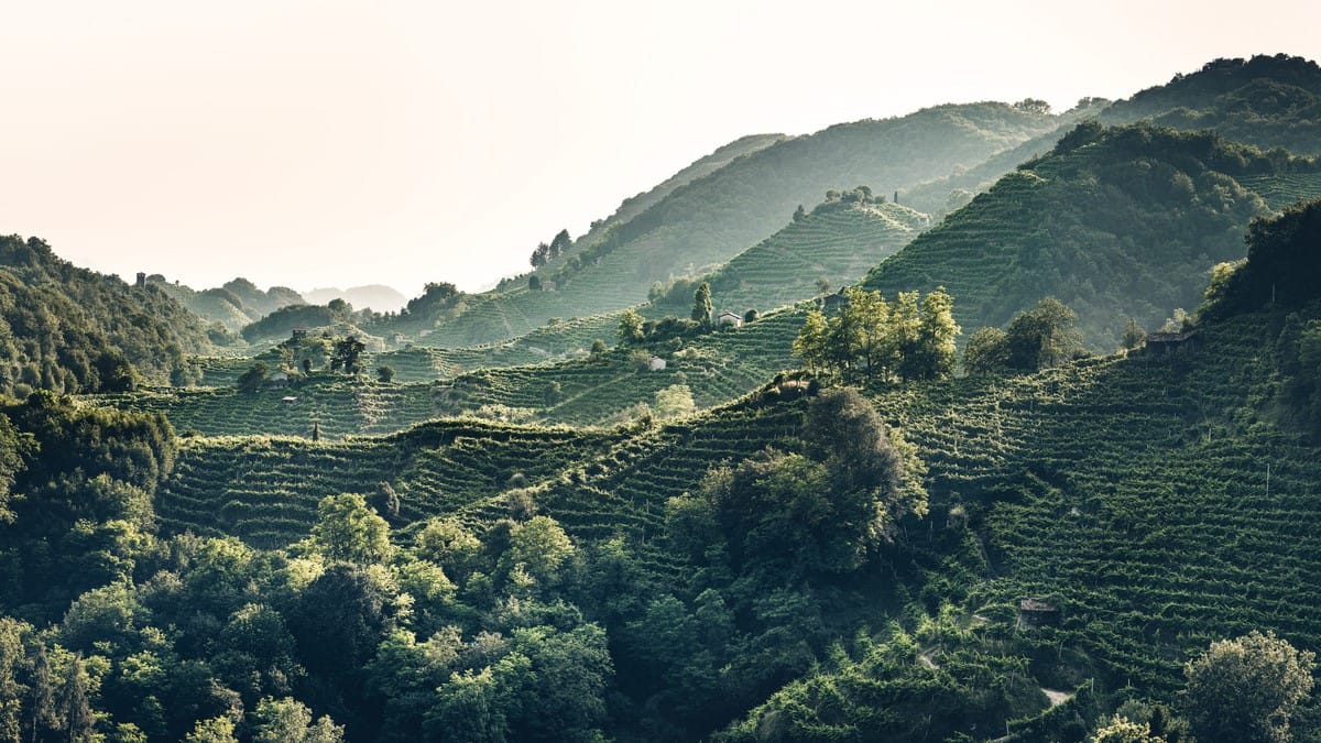 Turismo. Colline del Prosecco, una crescita costante dalla Core alla Commitment Zone