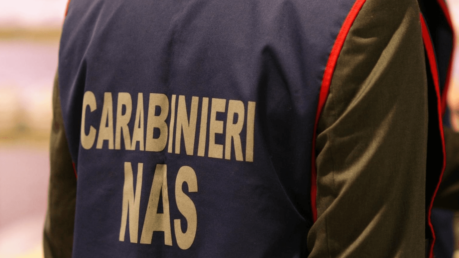 Blitz dei Nas, poi l’ordinanza del sindaco: stop alla “scuola nel bosco”