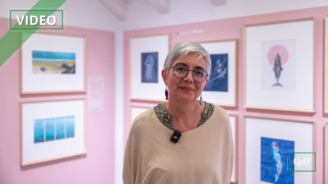 Disegnare la natura per comprenderla: le tavole di Rossana Bossù protagoniste a Sarmede