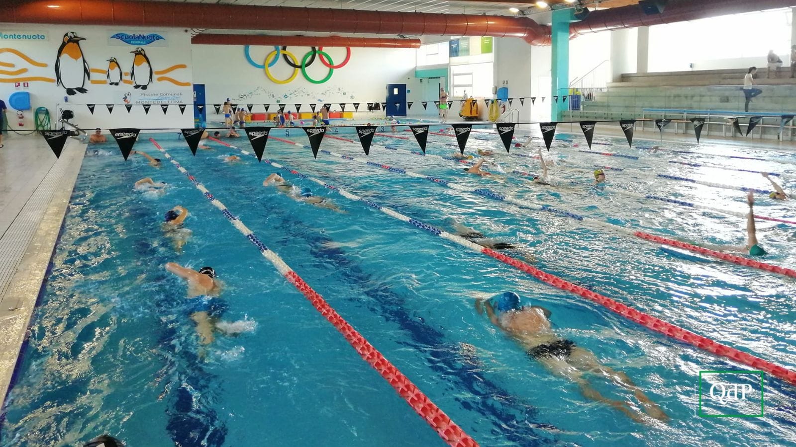 Piscine comunali e stadio Biagi: affidati i lavori di manutenzione straordinaria
